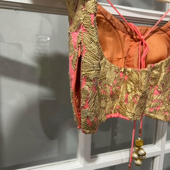 Indian latest lehnga sari dress - Picture 8 of 14